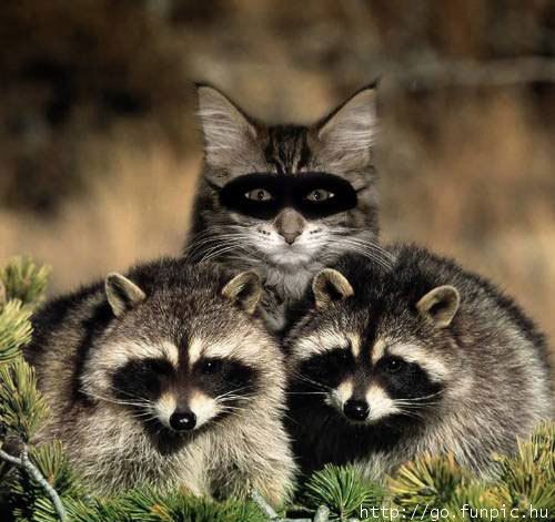 �� �������